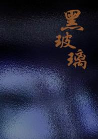 黑玻璃效果图大全