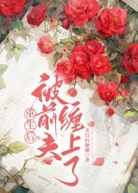 重生后我被前夫倒追了