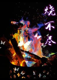 烧不尽(1v1)阅读本书作者 utopia