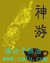 神游wii