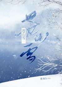 苍山雪洱海月什么意思