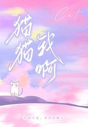 猫猫我啊百度