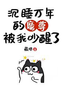 我把魔头哔哔醒了全文阅读