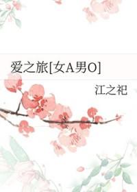 爱之旅电视剧