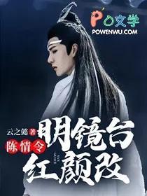 陈情令水镜