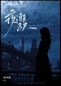 夜未央指的是啥