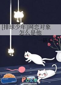 排球少年人气cp