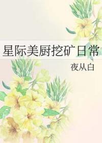 星际 厨