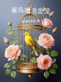 雀鸟与金笼
