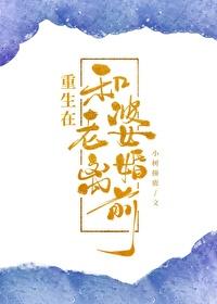 重生在离婚前老婆失忆了gl