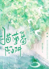 猫薄荷gl