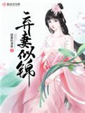 弃妻似锦免费阅读