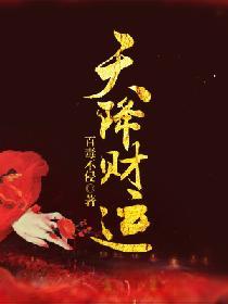 天降财运123读书网