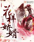 花样全文阅读