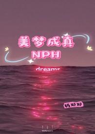 美梦成真np文笔趣阁