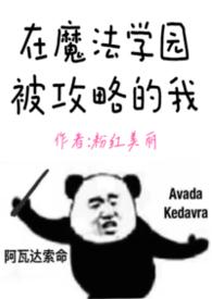 我在魔法学校任教的日子txt