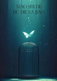 消失的蝴蝶发夹结局是什么