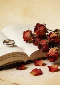 代驾需要什么条件