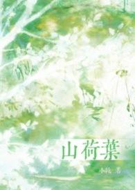 山荷叶的花语是什么