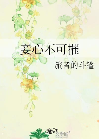 妾心不可摧旅者的斗篷