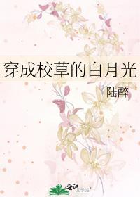 穿成校草白月光无弹窗