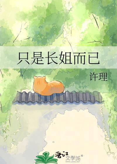 长姐讲的什么