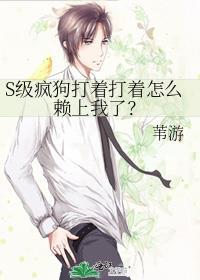 疯狗打法