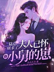 分手六年贺律师又沦陷了完整版