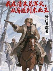 我在清末兑军火