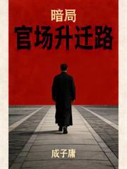 官场暗影