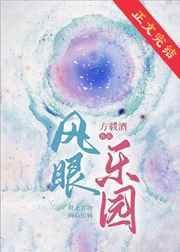 风眼乐园全文免费阅读