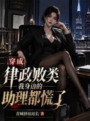 穿越成律师