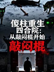 傻柱子的四合院阅读