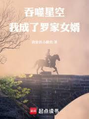 吞噬星空我成了罗家女婿笔趣阁无弹窗