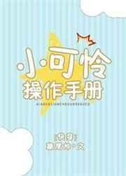 小可怜操作手册全文免费阅读