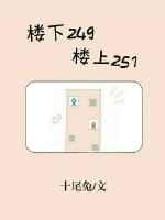 楼上249楼上251