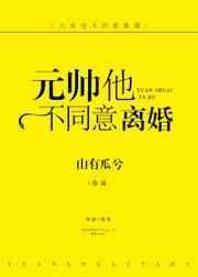 元帅他不同意离婚晋江文学