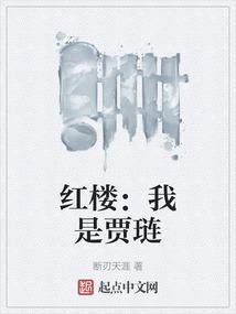 红楼:我是贾琏