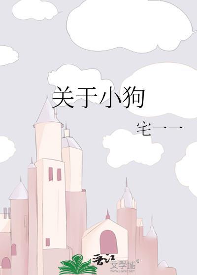 关于小狗
