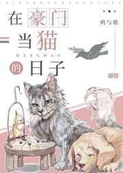 在豪门当猫的日子