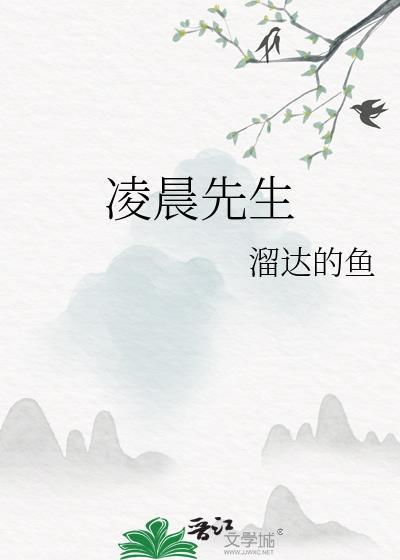 凌晨先生